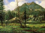 Albert Bierstadt Sierra_Nevada_Mountains oil